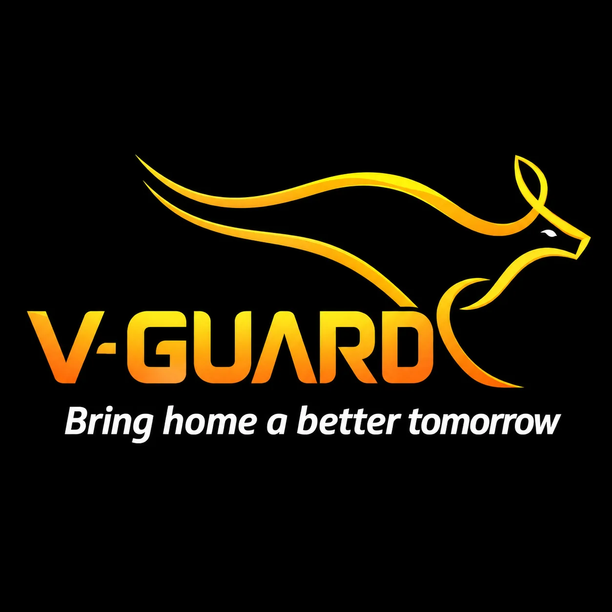 Vgard client logo
